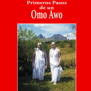 Primeros pasos de un omo awo