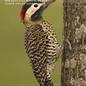 Irosun (El Oraculo merindilogun nº 4)