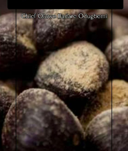 Gran libro de Iniciacion Linaje Odugbemi Esentaiye isefa itefa