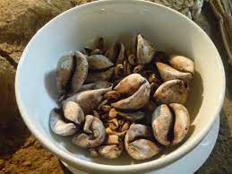 CONSAGRACION DE ORISA AJE