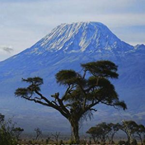 IFA Y Los Orishas: La Religion Antigua De La Naturaleza