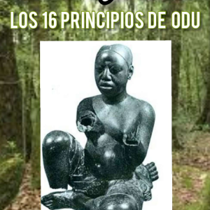 Los 16 Principios de Odu